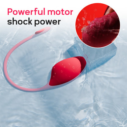 Huevo Vibrador con App