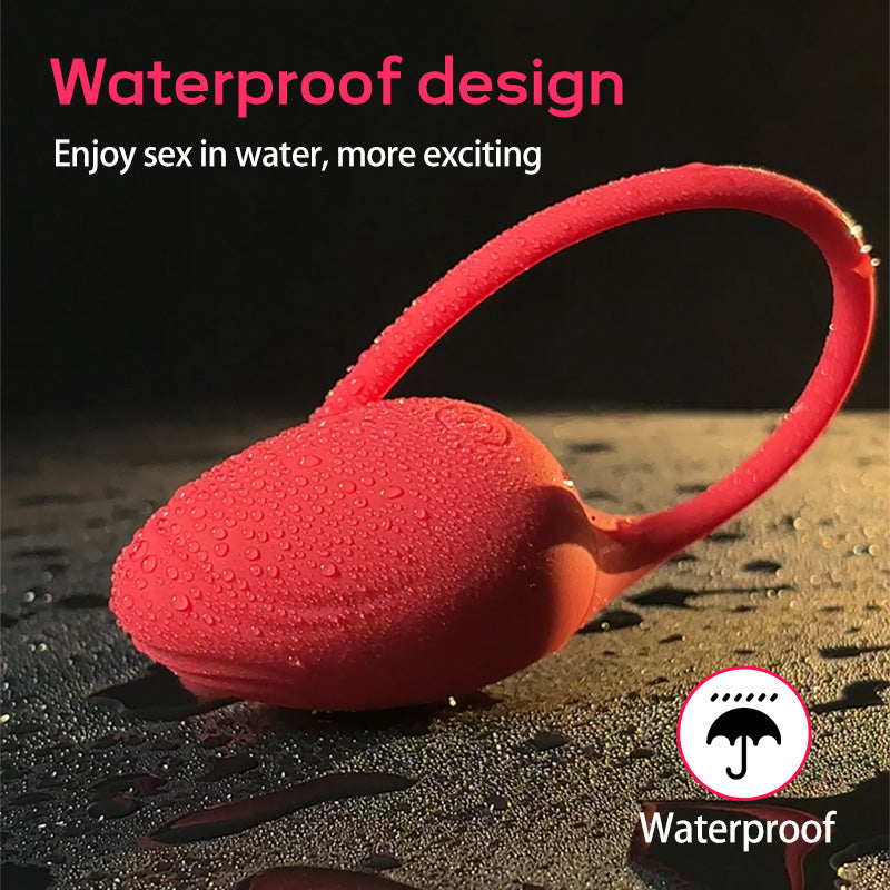 Huevo Vibrador con App